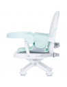 Inaltator scaun de masa Chipolino Lollipop avocado,STHBL02203AV