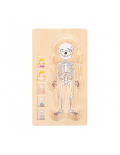 Puzzle multistrat de anatomie - fata,L5814 2