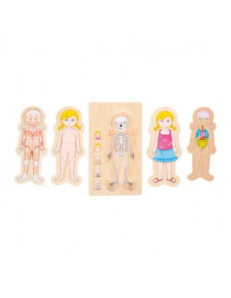 Puzzle multistrat de anatomie - fata,L5814