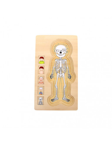 Puzzle multistrat de anatomie - baiat,L5842