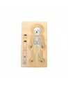 Puzzle multistrat de anatomie - baiat,L5842