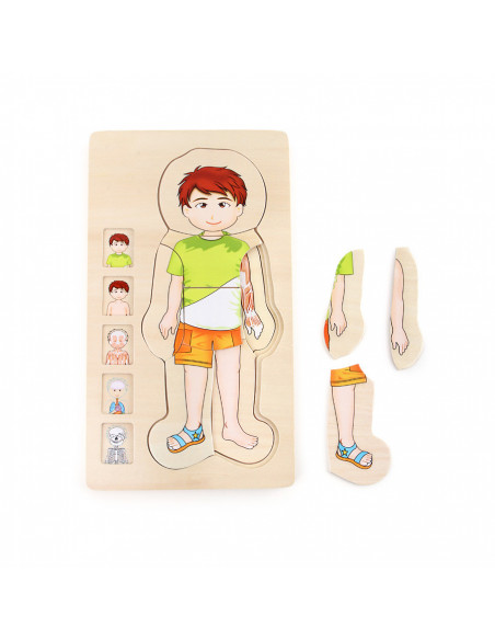 Puzzle multistrat de anatomie - baiat,L5842