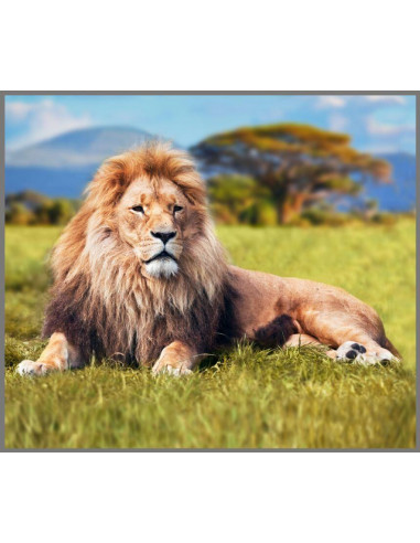 Proiector tip lanterna - Animale periculoase,E2038