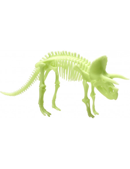 Schelet Triceratops reflectorizant,B8804