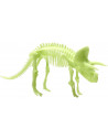 Schelet Triceratops reflectorizant,B8804