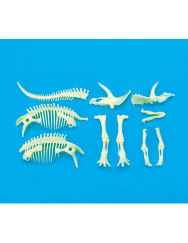 Schelet Triceratops reflectorizant,B8804