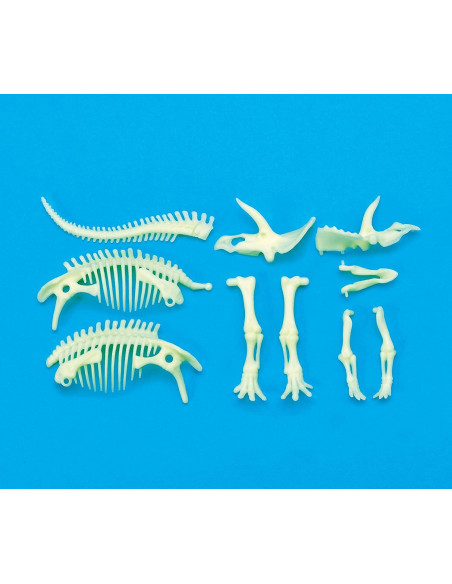 Schelet Triceratops reflectorizant,B8804