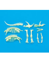 Schelet Triceratops reflectorizant,B8804