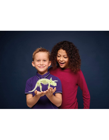 Schelet Triceratops reflectorizant,B8804
