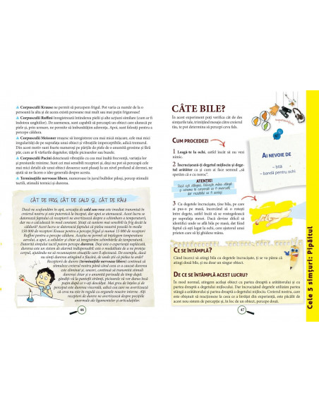 Enciclopedia experimentelor in practica,978-606-048-226-0