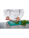 TOCATOR HACCP GN1/1, 53x32.5x2 CM, VERDE, CHEF LINE, COOKING BY