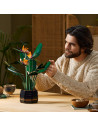 Lego Creator Pasarea Paradisului 10289,10289