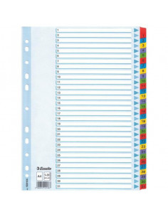 SEPARATOARE INDEX CARTON 1-31 MYLAR ESSELTE,ES100164