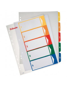 SEPARATOARE INDEX PLASTIC 1-6 IMPRIMABIL ESSELTE,ES100211
