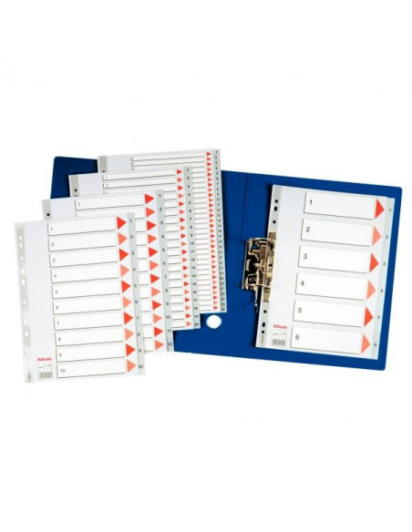 SEPARATOARE INDEX PLASTIC 1-54 MAXI ESSELTE,ES100109