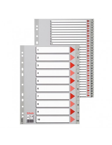 SEPARATOARE INDEX PLASTIC 1-54 MAXI ESSELTE,ES100109