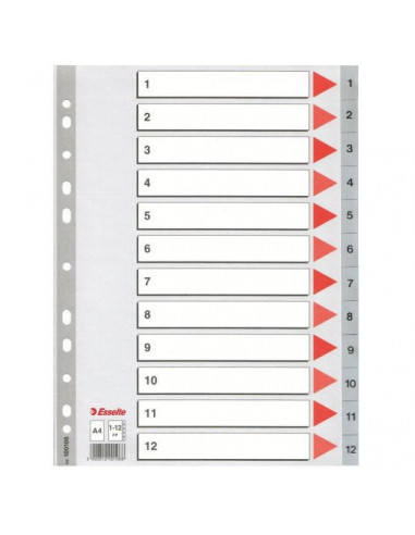 SEPARATOARE INDEX PLASTIC 1-54 MAXI ESSELTE,ES100109