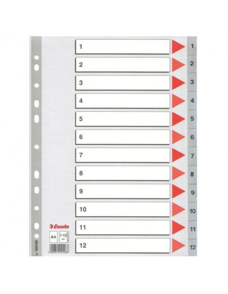 SEPARATOARE INDEX PLASTIC 1-54 MAXI ESSELTE,ES100109