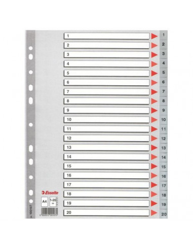 SEPARATOARE INDEX PLASTIC 1-54 MAXI ESSELTE,ES100109
