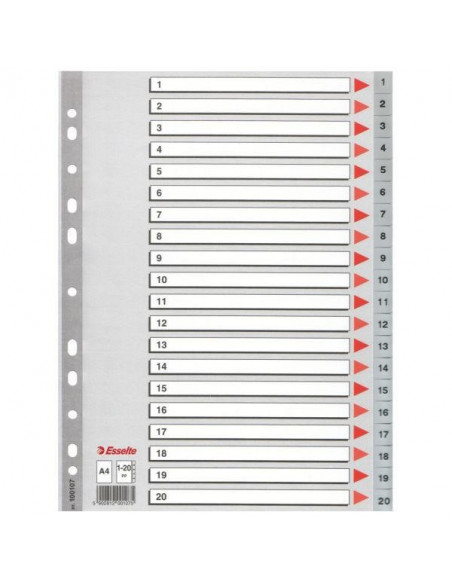 SEPARATOARE INDEX PLASTIC 1-54 MAXI ESSELTE,ES100109