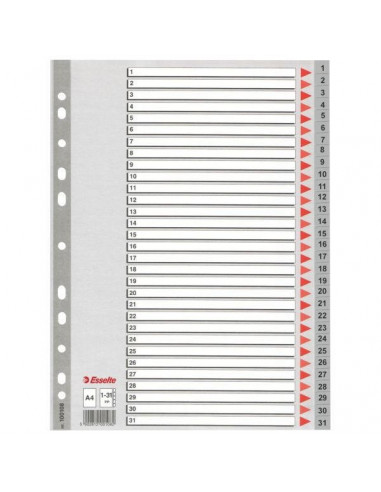 SEPARATOARE INDEX PLASTIC 1-54 MAXI ESSELTE,ES100109