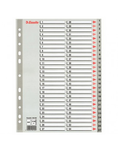 SEPARATOARE INDEX PLASTIC 1-54 MAXI ESSELTE,ES100109