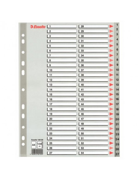 SEPARATOARE INDEX PLASTIC 1-54 MAXI ESSELTE,ES100109