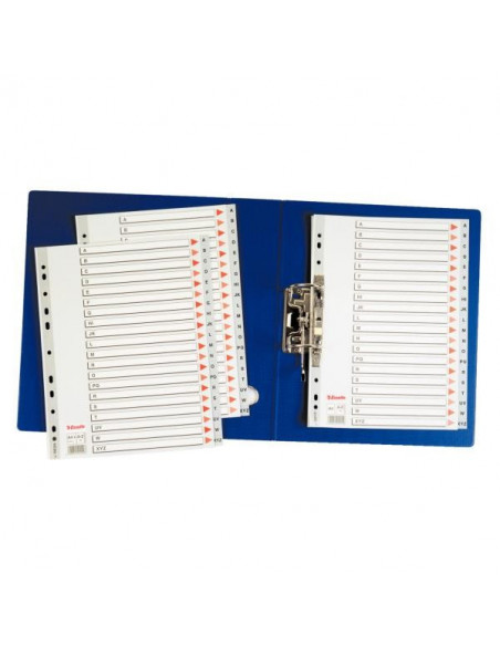 SEPARATOARE INDEX PLASTIC 1-54 MAXI ESSELTE,ES100109