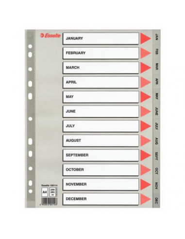 SEPARATOARE INDEX PLASTIC 1-54 MAXI ESSELTE,ES100109