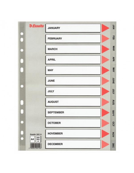 SEPARATOARE INDEX PLASTIC 1-54 MAXI ESSELTE,ES100109