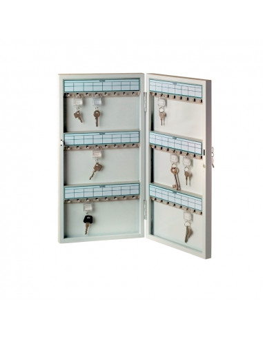 Cutie pentru 48 chei 560x280x60mm gri,AC9141
