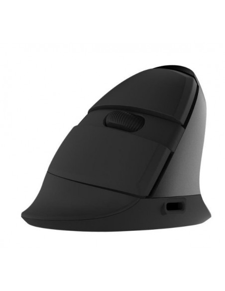 MOUSE DELUX, PC sau NB, wireless, 2.4GHz, optic, 1600 dpi