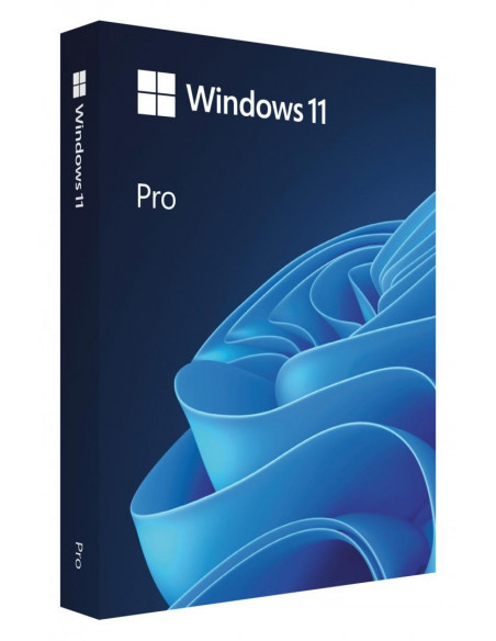 SW RET WIN 11 PRO FPP 64B/ROM USB HAV-00197 MS,HAV-00197