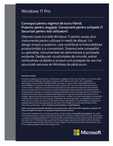 SW RET WIN 11 PRO FPP 64B/ROM USB HAV-00197 MS,HAV-00197