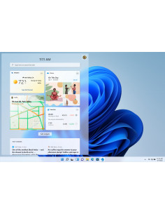 SW RET WIN 11 HOME FPP 64B/ENG USB HAJ-00090 MS,HAJ-00090 2