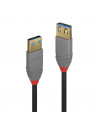 Cablu transfer Lindy LY-36760, USB 3.2 Type A, 0.5m, Anthra