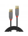 Cablu transfer Lindy LY-36760, USB 3.2 Type A, 0.5m, Anthra
