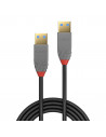 Cablu Lindy LY-36753, USB 3.2 Type A, 3m, Anthra Line,LY-36753