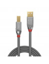 Cablu transfer Lindy LY-36642, USB 2.0 Type A to B, 2m, Cromo
