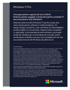 SW RET WIN 11 PRO FPP 64B/ENG USB HAV-00163 MS,HAV-00163 2