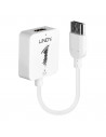 Adaptor Lindy LY-38146, HDMI 1.4 to DisplayPort 1.1 Converter