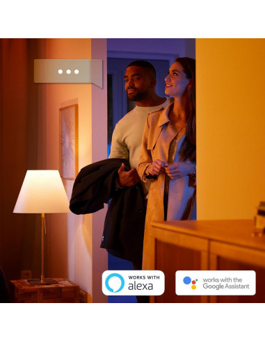 Spot luminos de plafon pentru baie Philips Hue Adore, 2x GU10