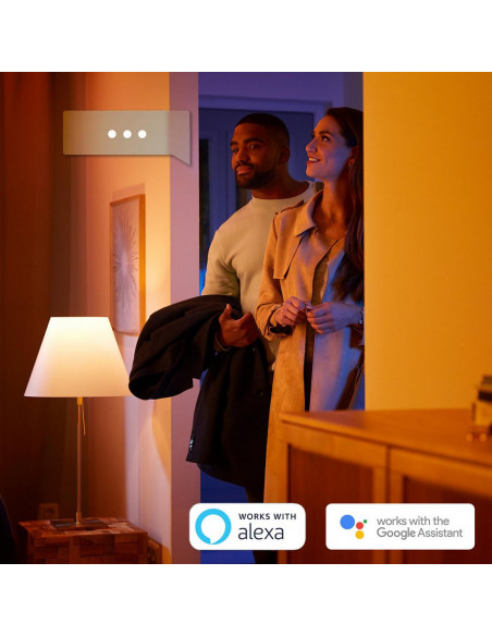 Spot luminos de plafon pentru baie Philips Hue Adore, 2x GU10