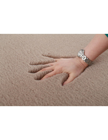 Covor Heinner Shaggy soft blanita Maro 200x300 cm,HR-FRUG200-BRW Covor Heinner Shaggy soft blanita Maro 200x300 cm,HR-FRUG200-BRW