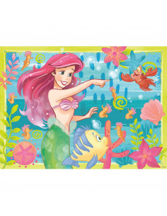 Puzzle Ariel, 500 Piese + Stickere,RVSPA13327