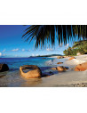 Puzzle Palmier La Plaja, 1000 Piese,RVSPA19018