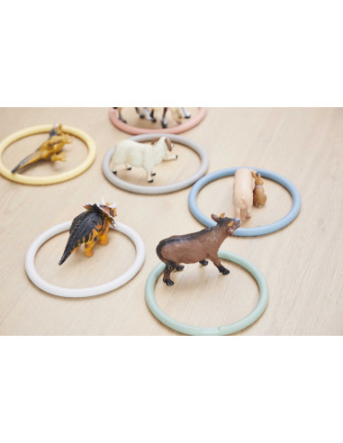 Set de 6 inele de activitati in 6 culori nordice,G2890