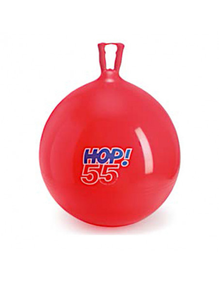 Minge cu maner 55,Gym8055