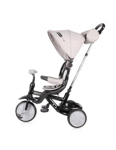 Tricicleta pentru copii, Lucky Crew, multifunctionala, Grey &