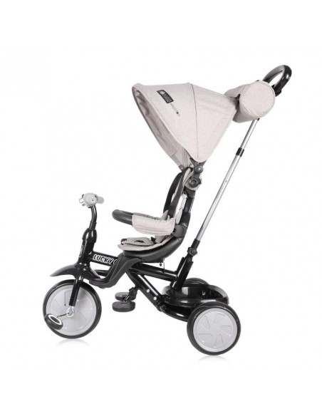 Tricicleta pentru copii, Lucky Crew, multifunctionala, Grey &